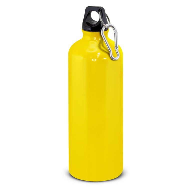 Picture of Intrepid Bottle - 800ml