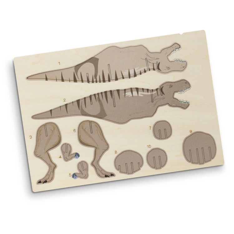 Picture of BRANDCRAFT Tyrannosaurus Rex Wooden Model