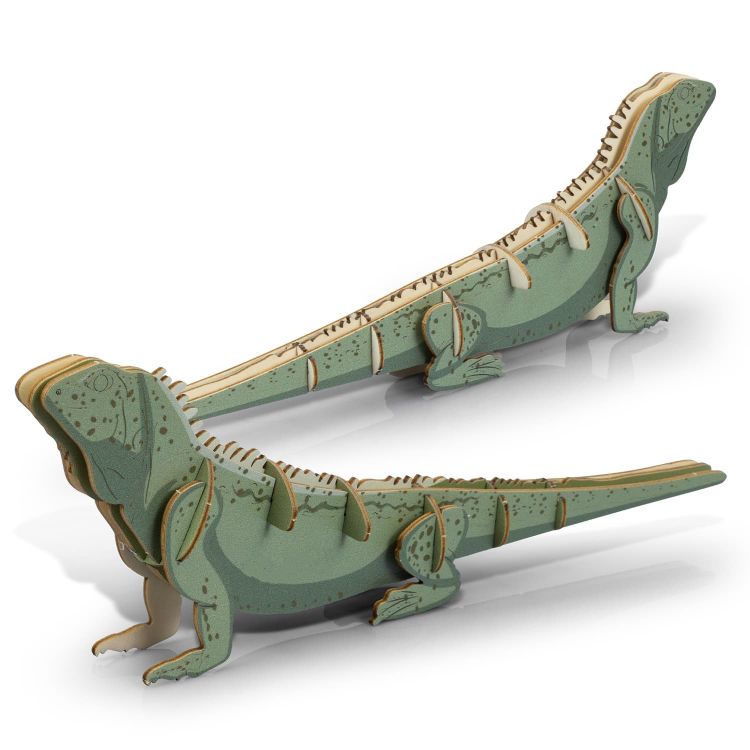 Picture of BRANDCRAFT Tuatara Wooden Model