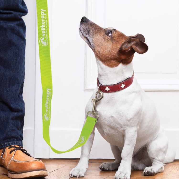 Picture of Trek Dog Leash