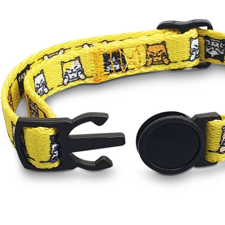 Picture of Amigo Cat Collar