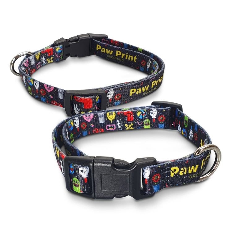 Picture of Amigo Dog Collar